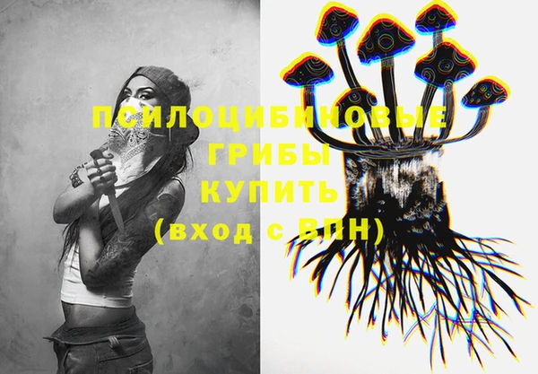PSILOCYBIN Алзамай