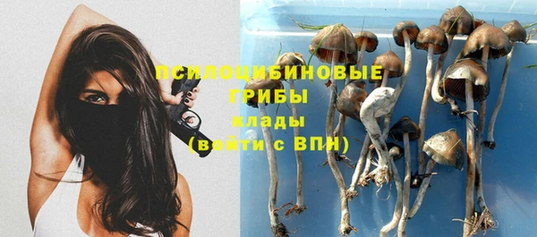 гидропоника Аркадак