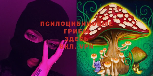 гидропоника Аркадак