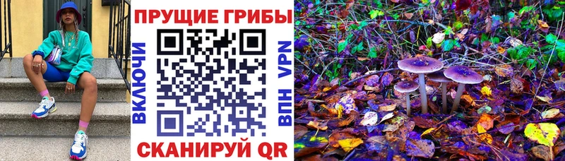 купить наркотик  Краснослободск  Галлюциногенные грибы мухоморы 